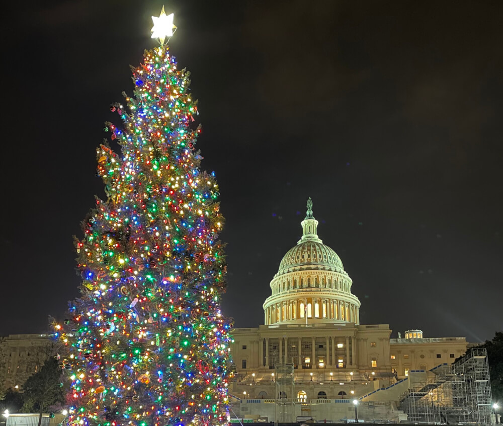 Christmas in Washington, D.C 10 Things to do in Washington, DC at