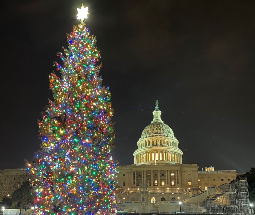 Washington Dc In Christmas 